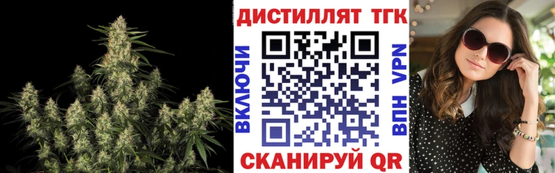 наркошоп  Пугачёв  ТГК гашишное масло 